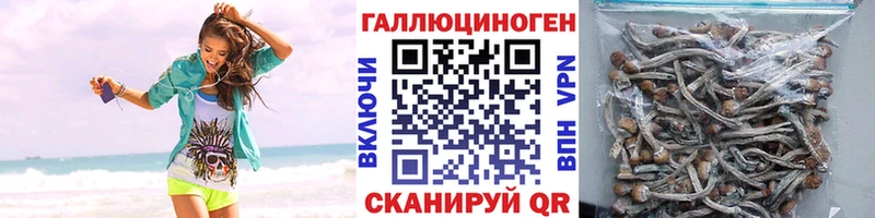 Псилоцибиновые грибы Magic Shrooms  что такое наркотик  Воскресенск 
